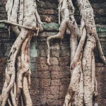 How to develop a growth mindset