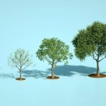 The Power of Mindset: How to Develop a Growth Mindset and Unlock Your Potential