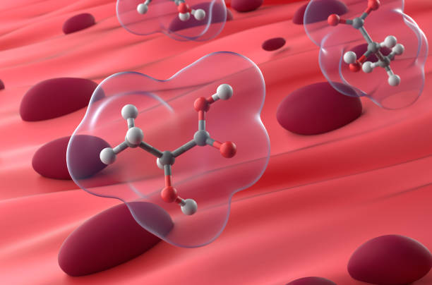 How to Boost Your Metabolism Naturally