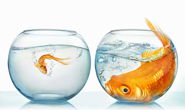 How to Stop Comparing Yourself to Others and Focus on Your Own Growth