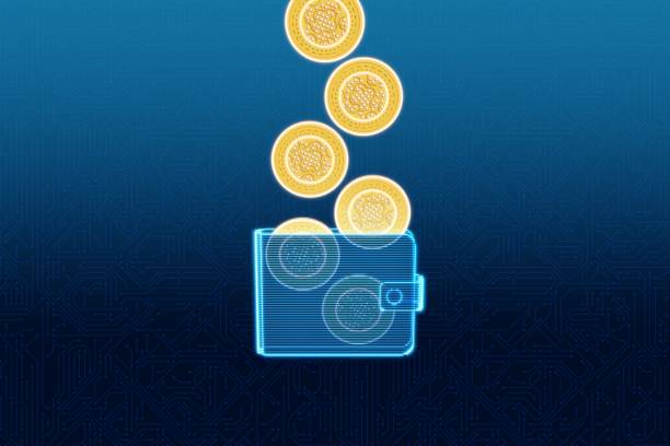 The Future of Crypto: How to Handle the Recent Crash and What to Look For